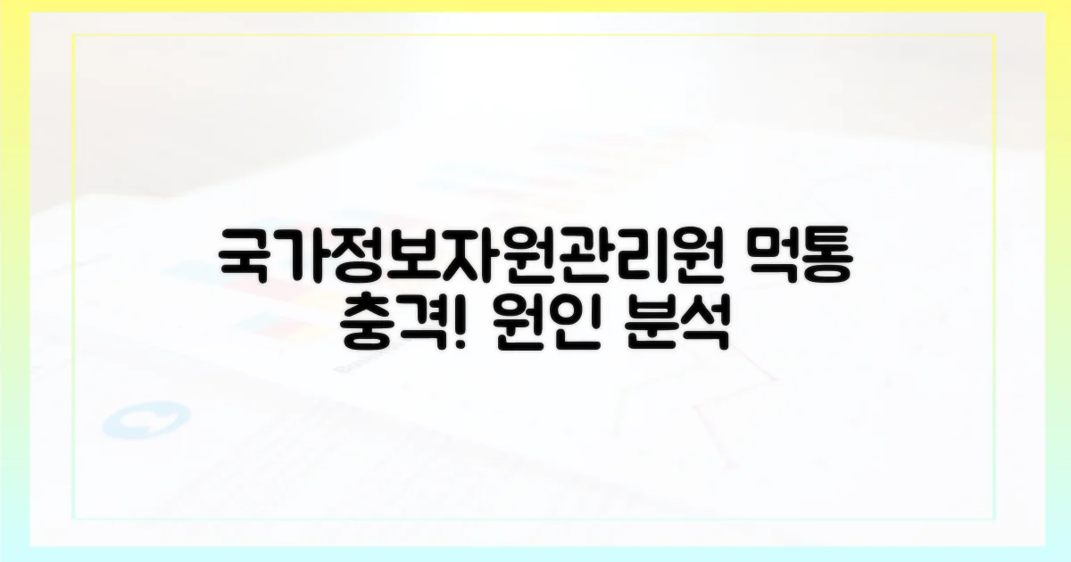국가정보자원관리원 왜 먹통?