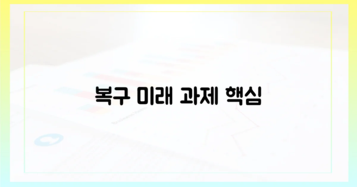 복구 및 향후 과제