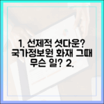 '선제적 셧다운'은 최선이었나? 국가정보자원관리원 화재 대응 심층 분석