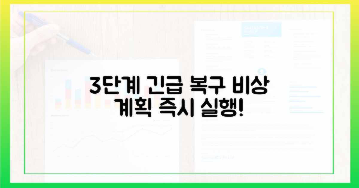 3단계 긴급 복구 계획