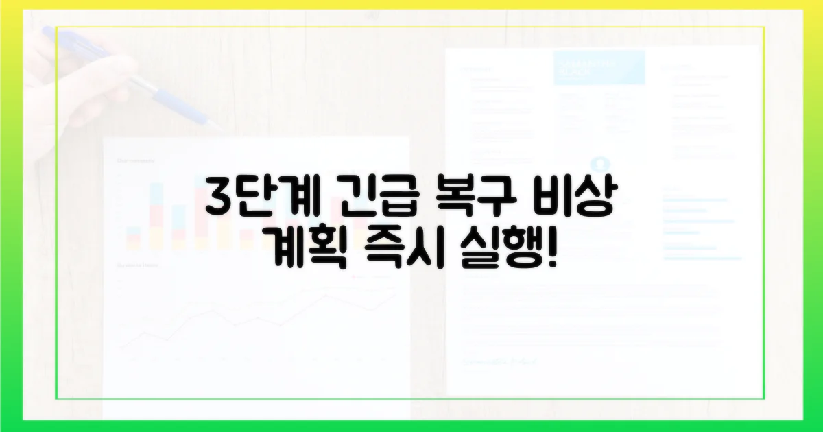 3단계 긴급 복구 계획