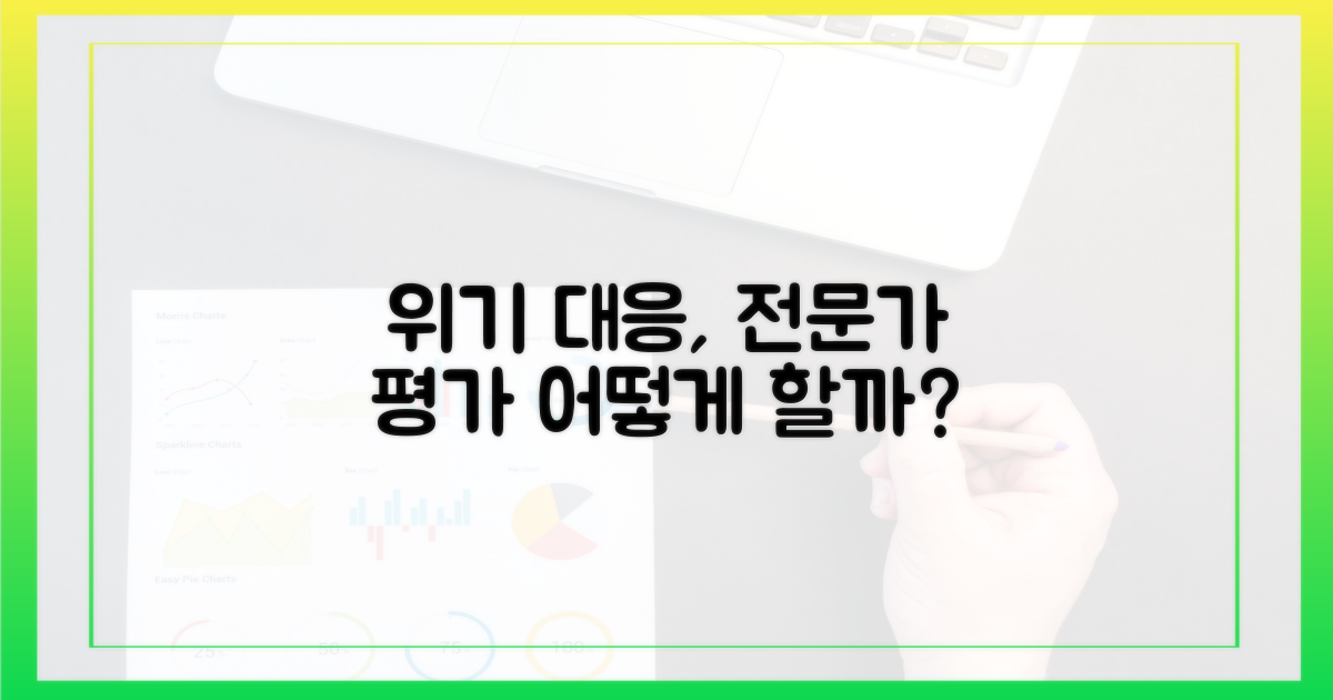 전문가들은 위기 대응을 어떻게 평가할까?