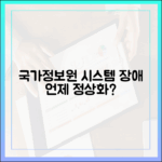 국가정보자원관리원 시스템 장애, 언제쯤 정상화될까? 복구 과정과 전망