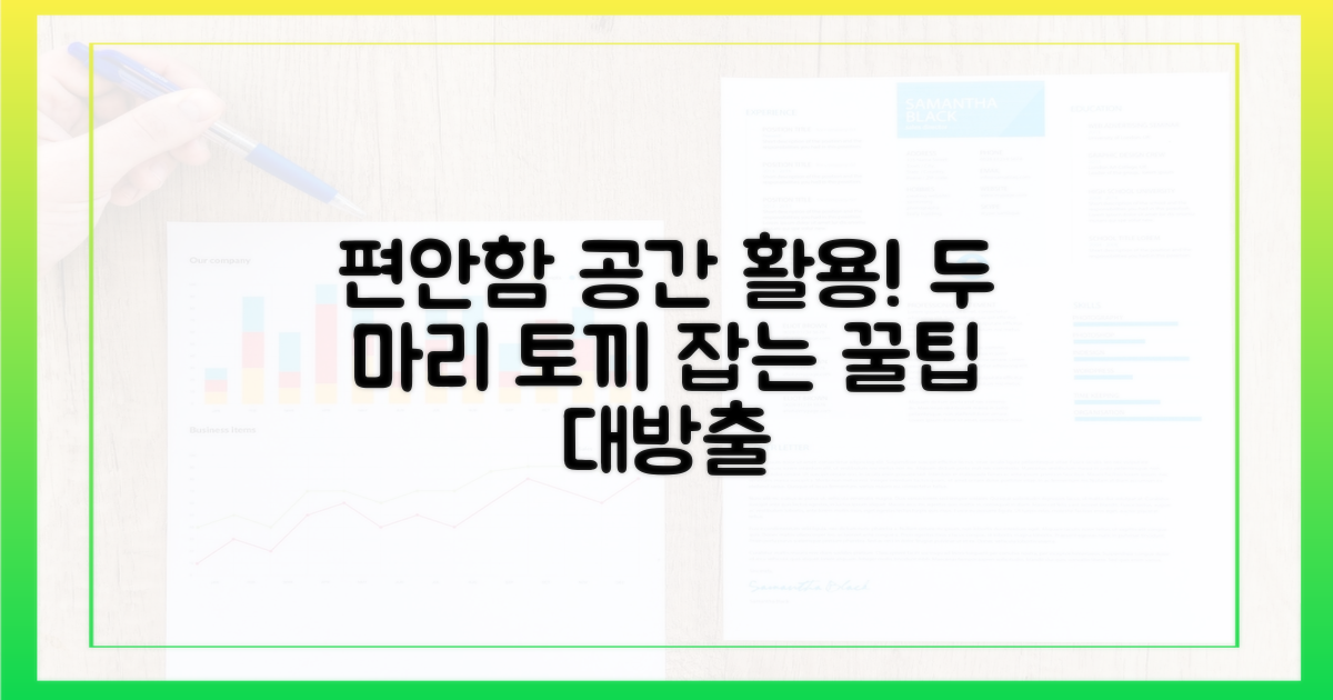 편안함과 공간 활용, 두 마리 토끼
