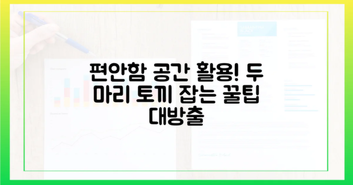 편안함과 공간 활용, 두 마리 토끼