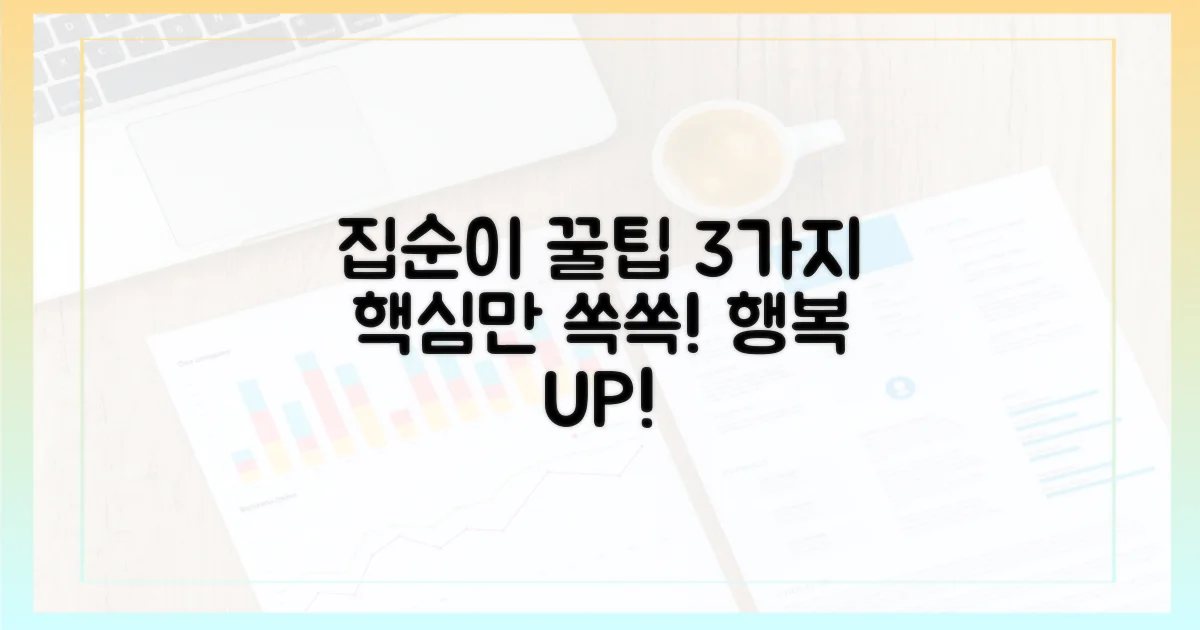 집순이, 3가지 핵심 고려사항