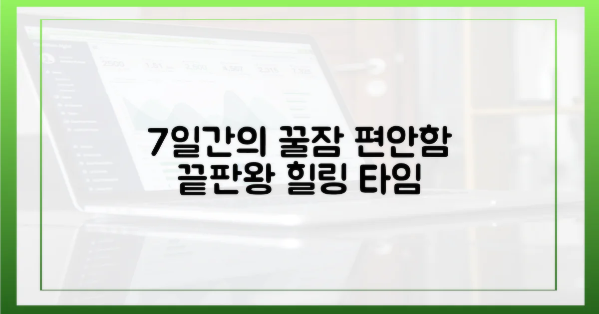 7일간의 편안함
