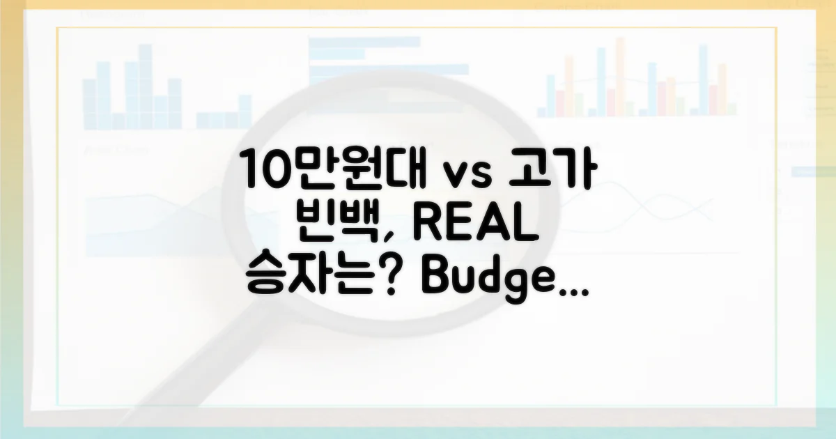10만원대 vs 고가 빈백