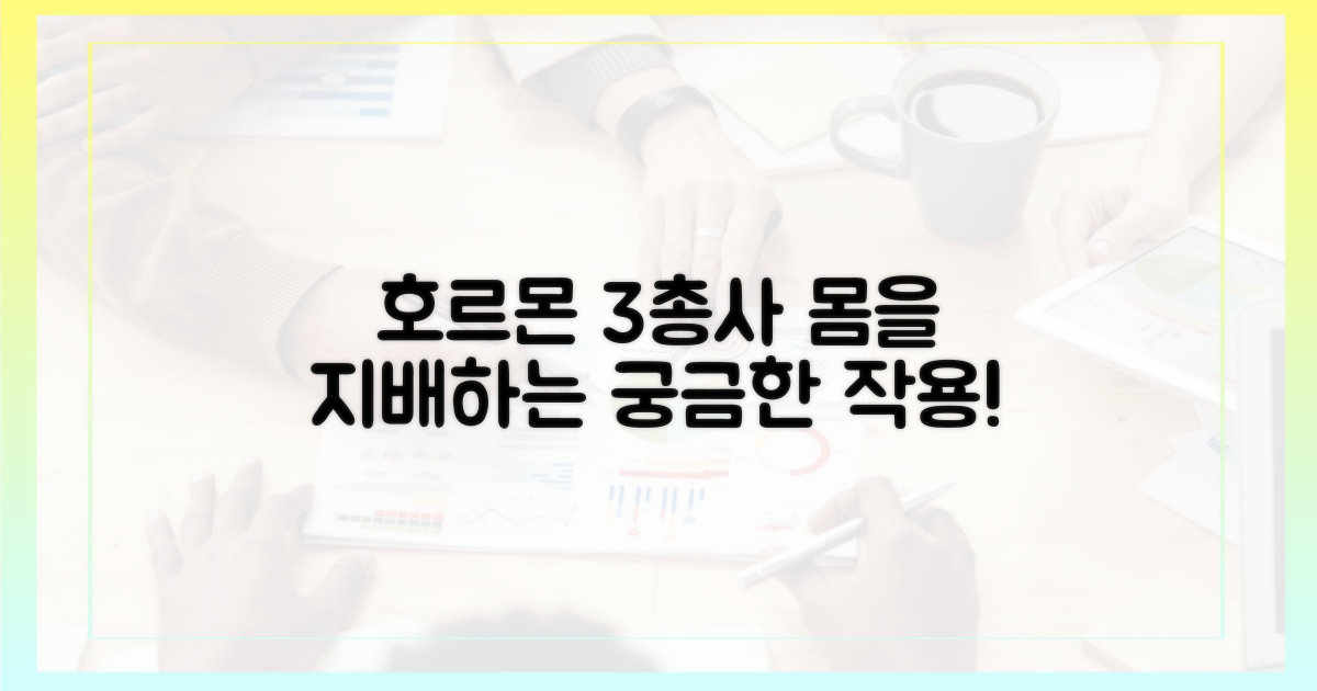 3가지 호르몬 작용