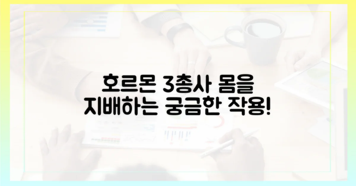 3가지 호르몬 작용