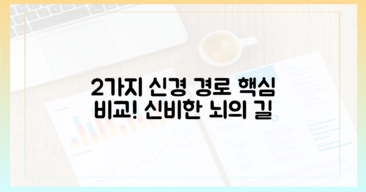 2가지 신경 전달 경로