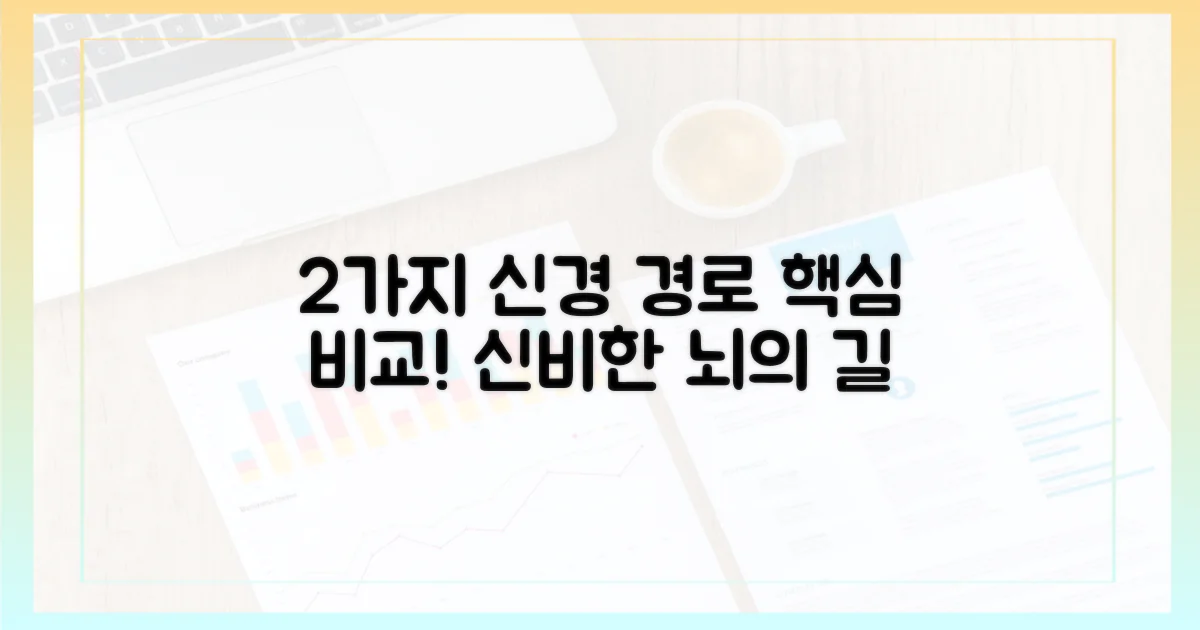 2가지 신경 전달 경로