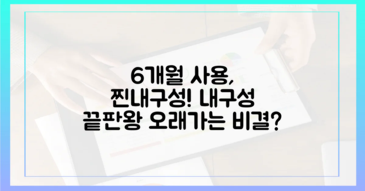 내구성, 6개월 사용 후기