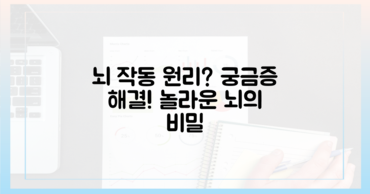 뇌는 어떻게 반응할까?
