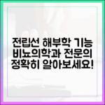 비뇨의학과 전문의가 설명하는 전립선의 해부학과 기능