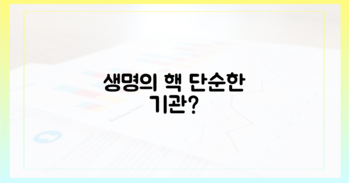 단순한 기관? 생명의 핵심 역할