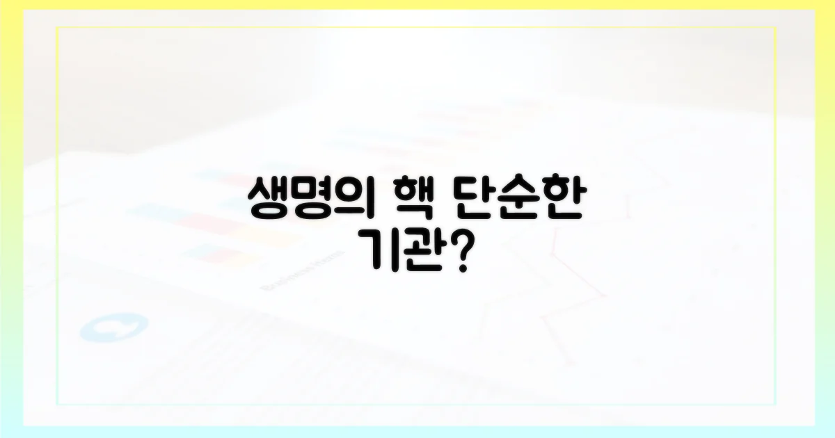 단순한 기관? 생명의 핵심 역할