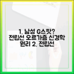 남성 G스팟? 전립선 오르가즘의 신경학적 원리 탐구