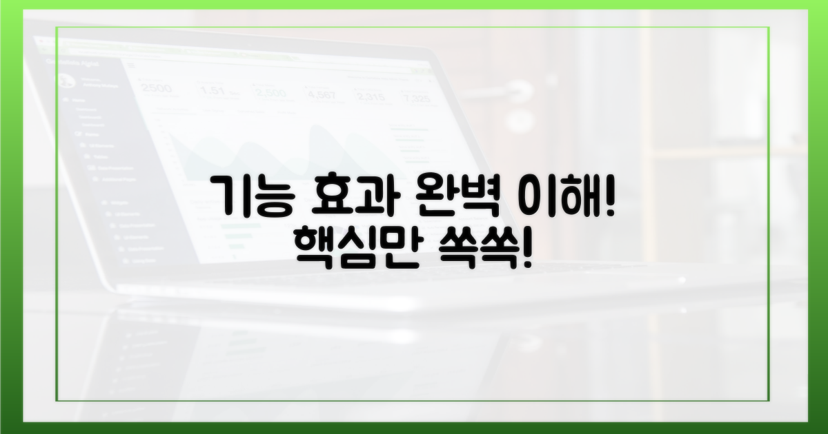 기능과 효과를 이해하세요