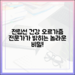 전립선 건강과 오르가즘의 연관성: 전문가 심층 분석