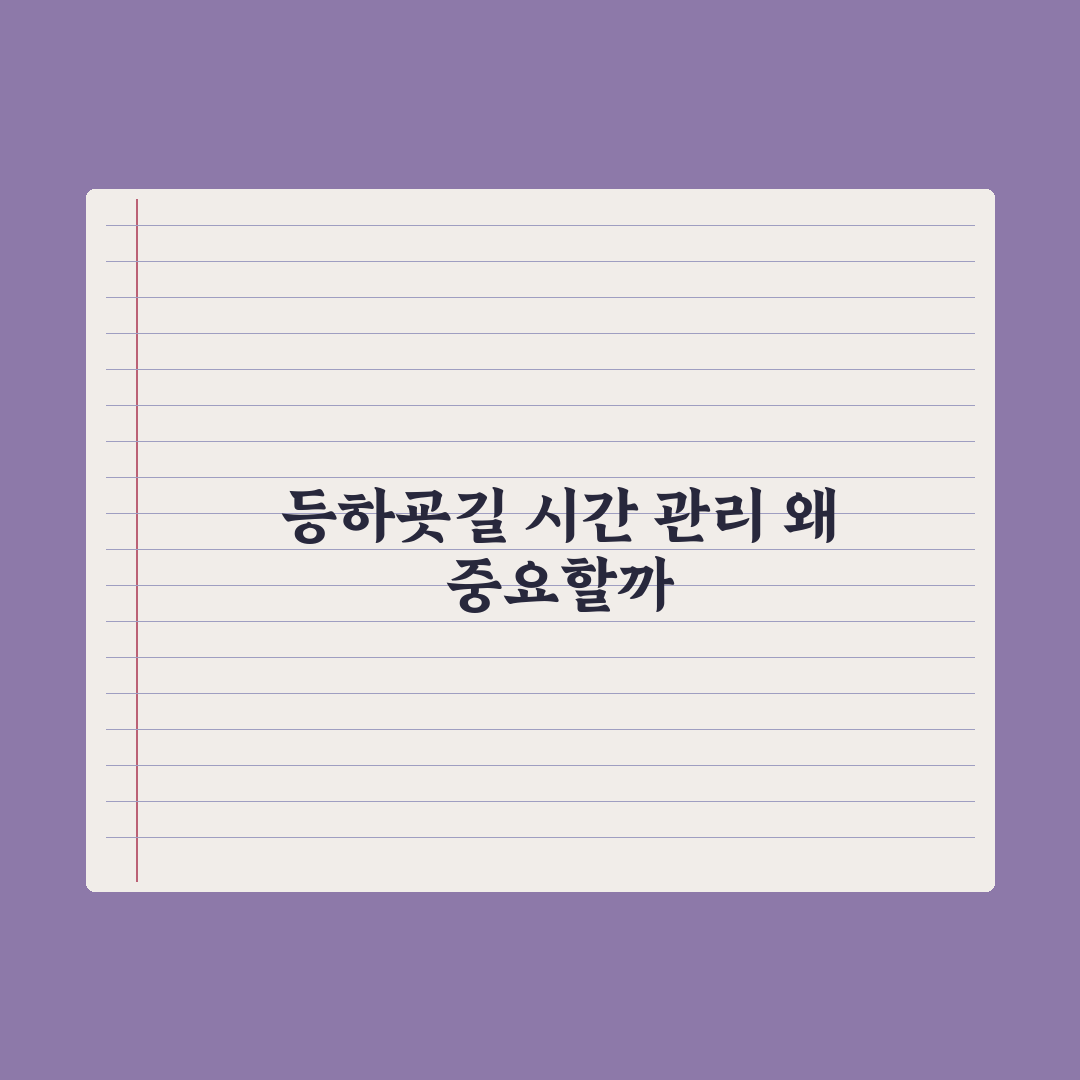 중학교 등하굣길 - 통학 시간 관리법 심층분석, 전문가가 검증한 5단계